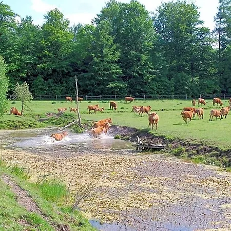 Ignatowka