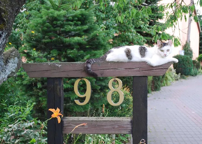 Ignatówka * Darłowo